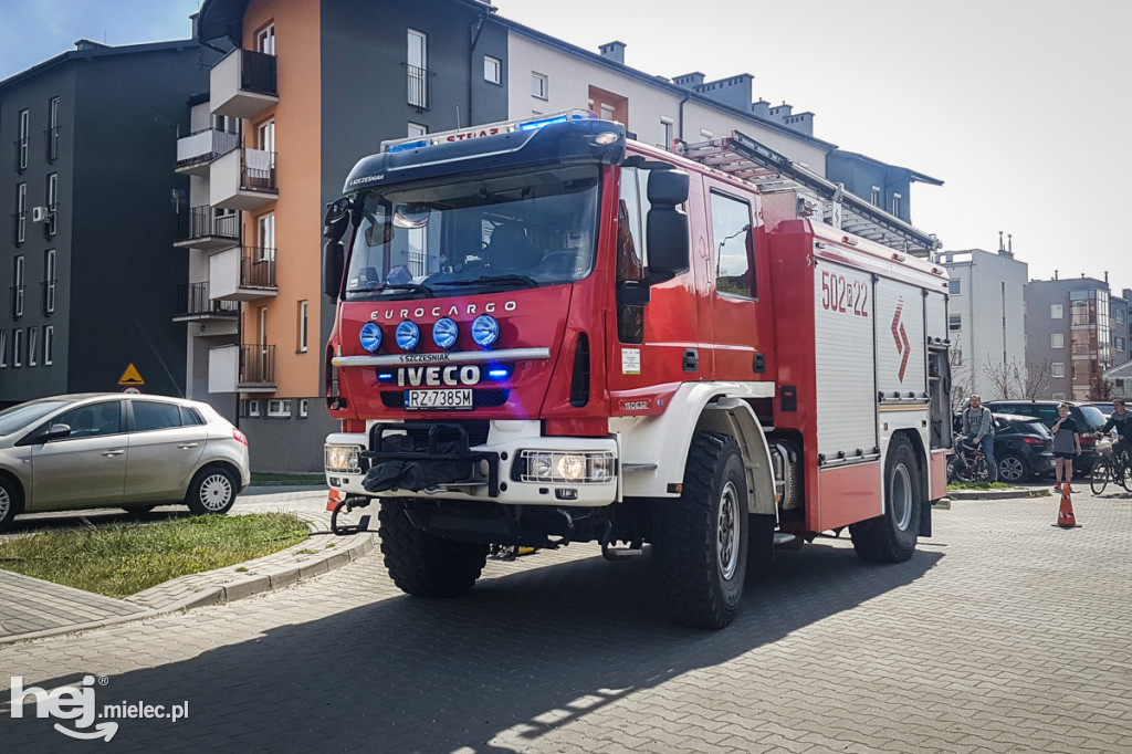 Pożar samochodu na Dąbrówki