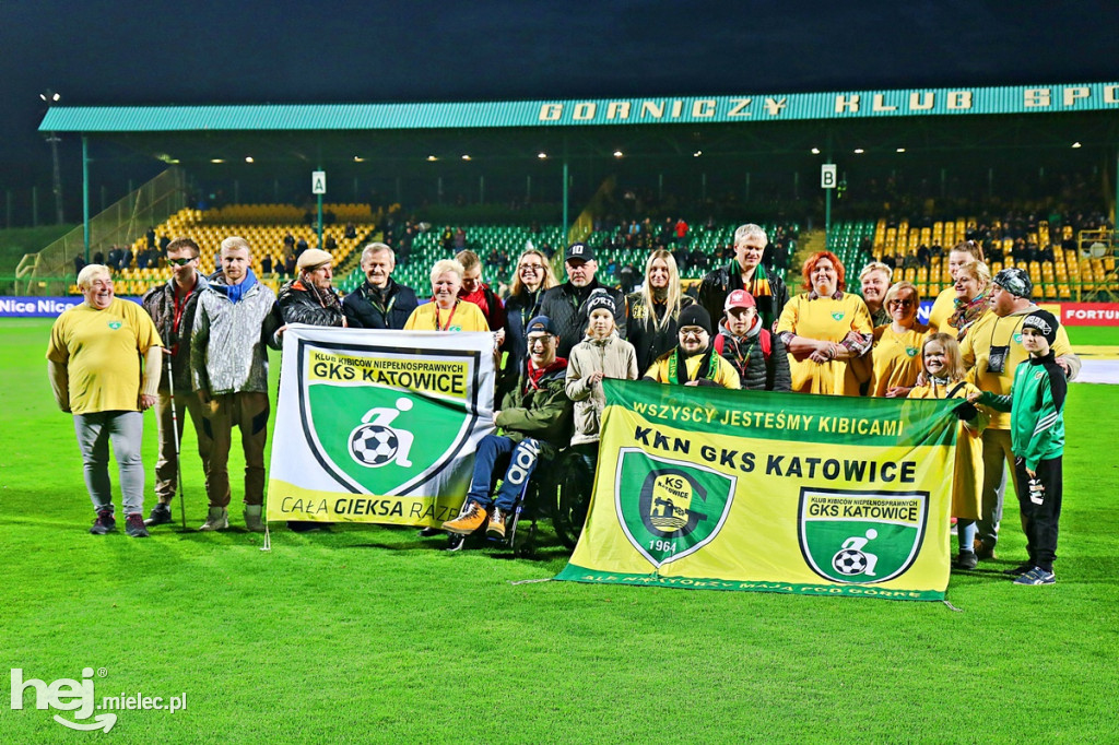 GKS Katowice - PGE FKS Stal Mielec
