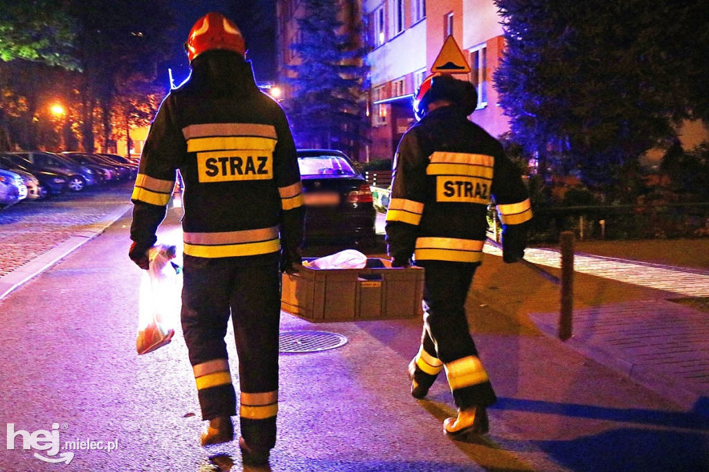 Chemiczna substancja w piwnicy