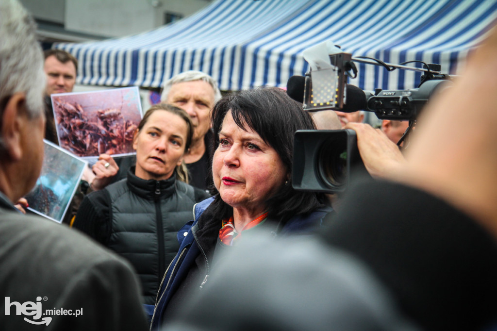 Jaworowicz z mielczanami o Kronospanie