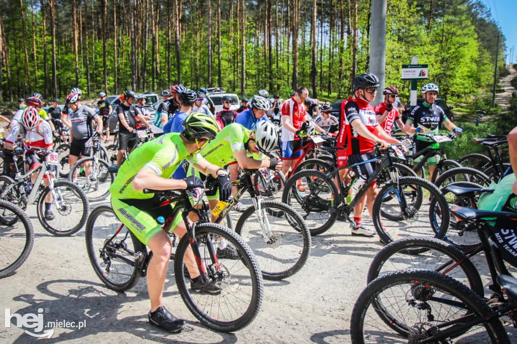 8. Wyścig o pietruszkę