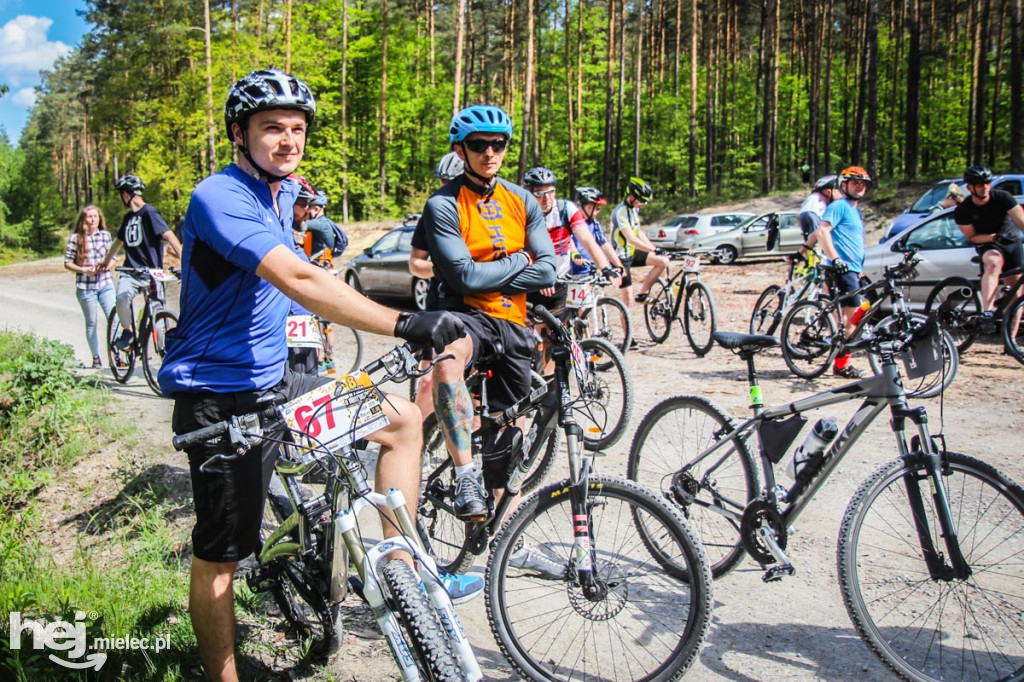 8. Wyścig o pietruszkę