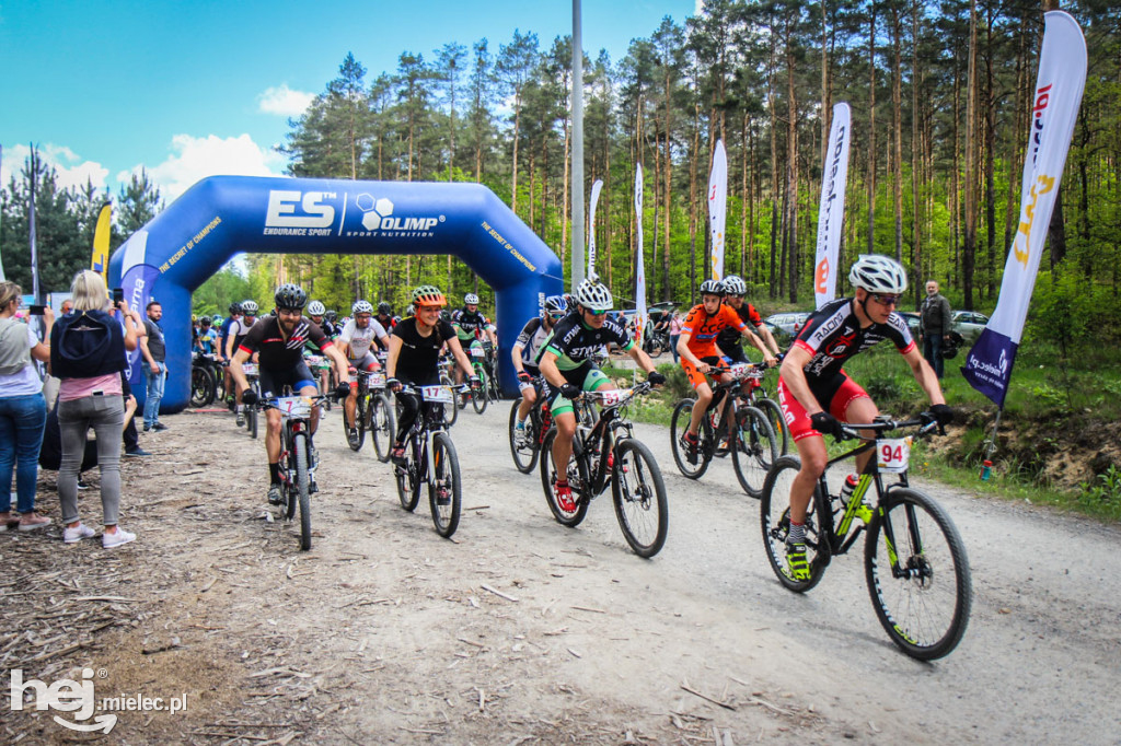 8. Wyścig o pietruszkę