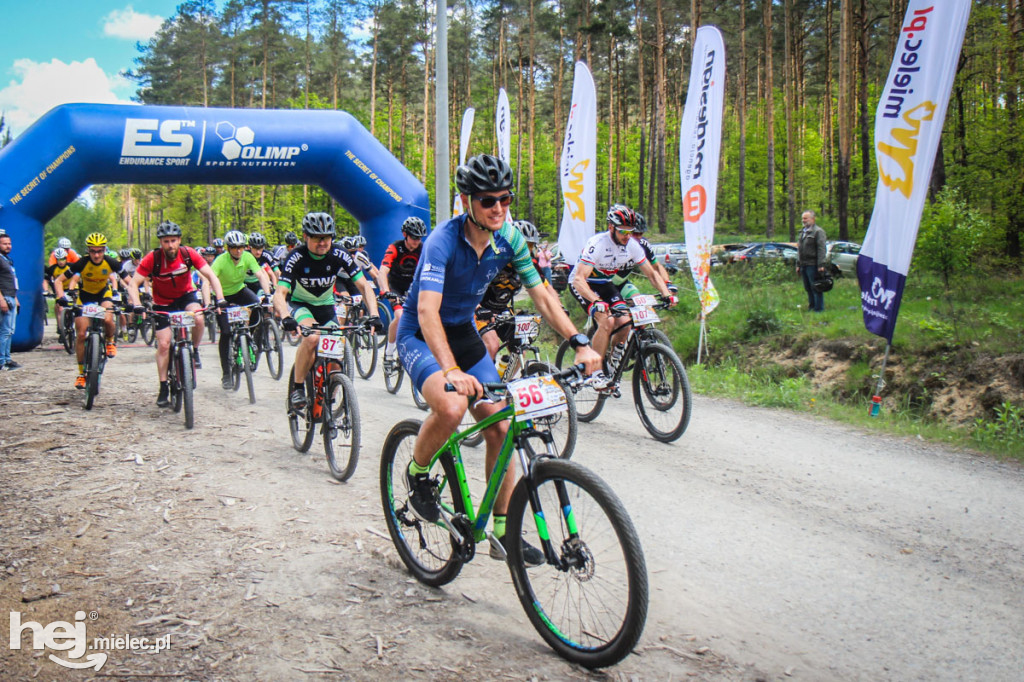 8. Wyścig o pietruszkę