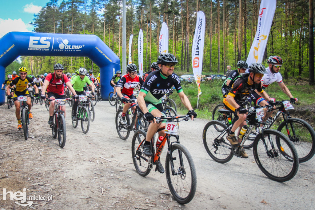8. Wyścig o pietruszkę