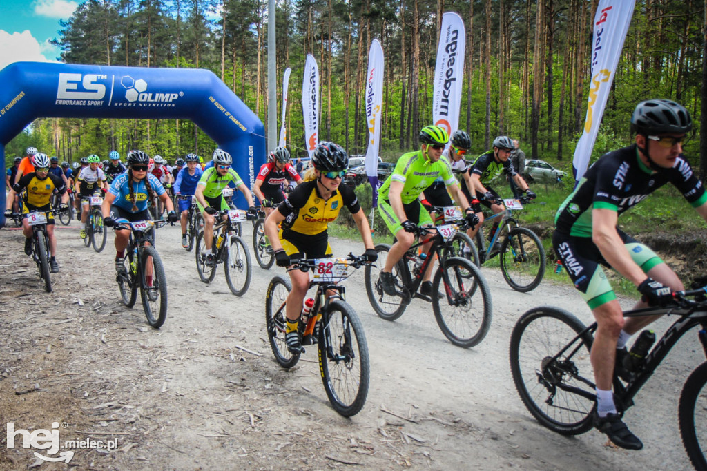 8. Wyścig o pietruszkę