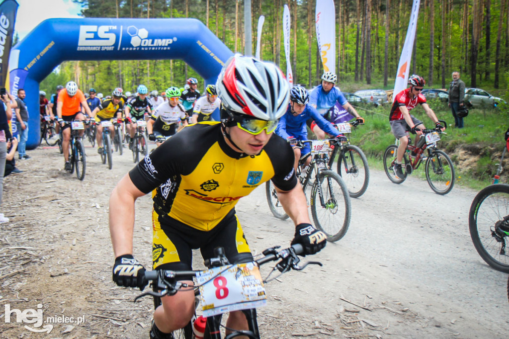 8. Wyścig o pietruszkę