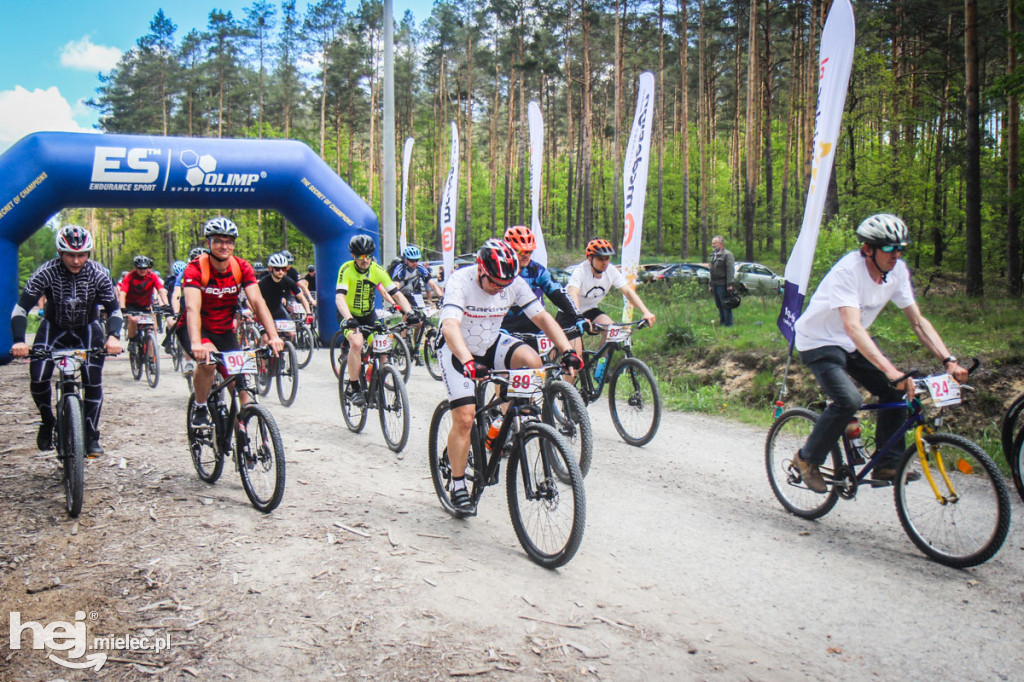 8. Wyścig o pietruszkę