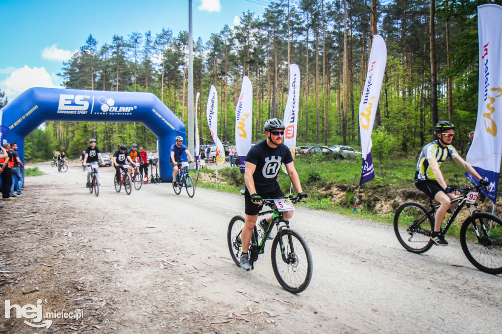 8. Wyścig o pietruszkę