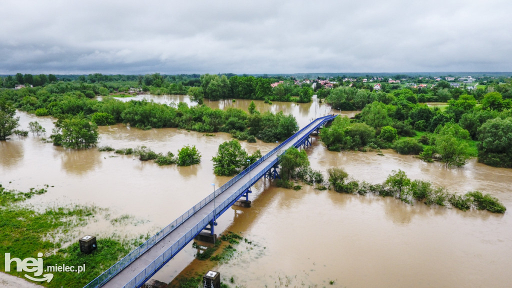 Wisłoka w Mielcu 24 maja - foto dron