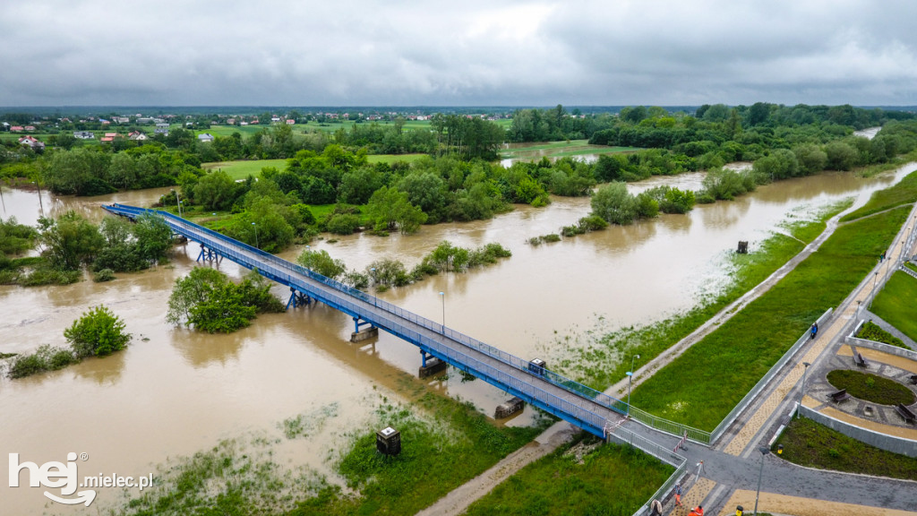 Wisłoka w Mielcu 24 maja - foto dron