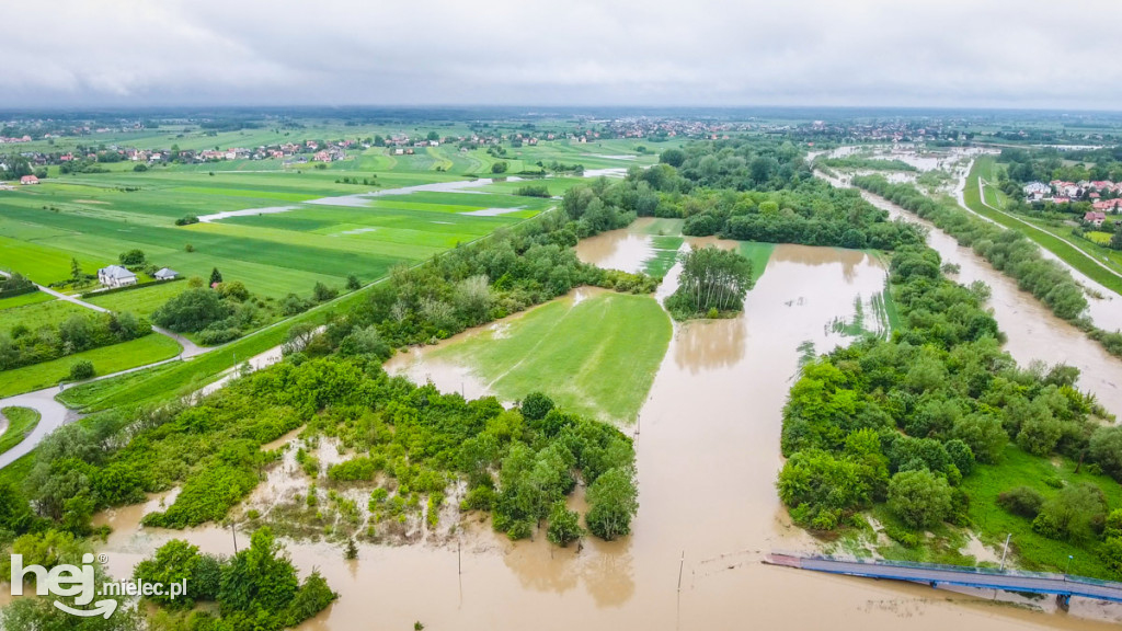 Wisłoka w Mielcu 24 maja - foto dron