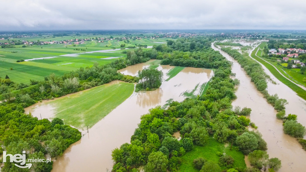 Wisłoka w Mielcu 24 maja - foto dron