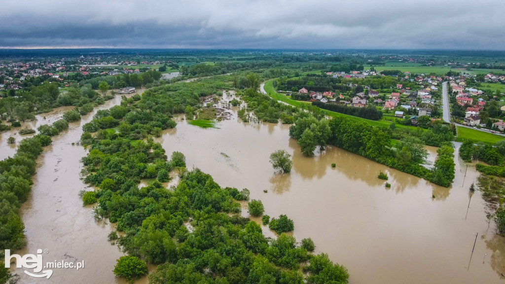 Wisłoka w Mielcu 24 maja - foto dron