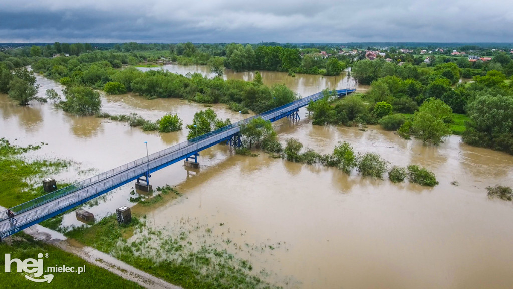 Wisłoka w Mielcu 24 maja - foto dron