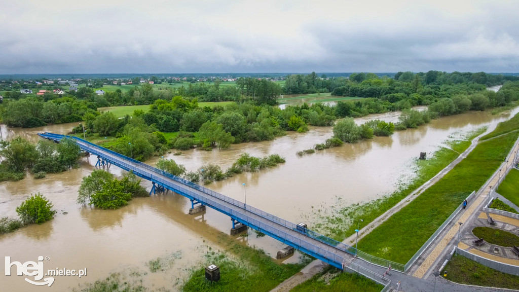 Wisłoka w Mielcu 24 maja - foto dron