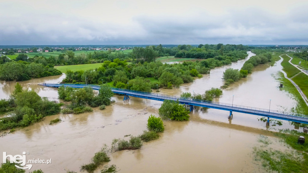 Wisłoka w Mielcu 24 maja - foto dron