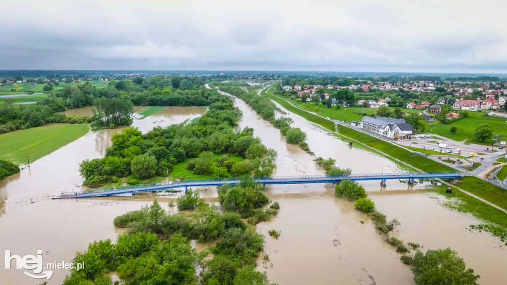 Wisłoka w Mielcu 24 maja - foto dron