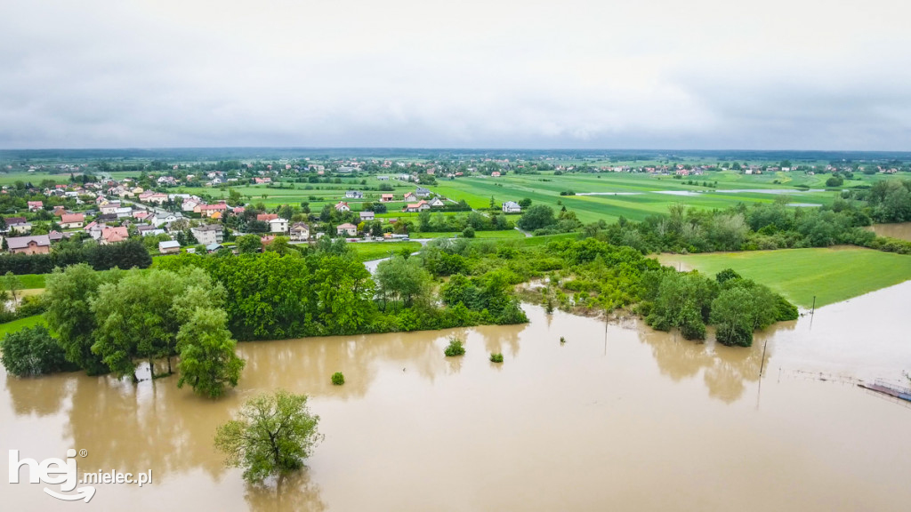 Wisłoka w Mielcu 24 maja - foto dron