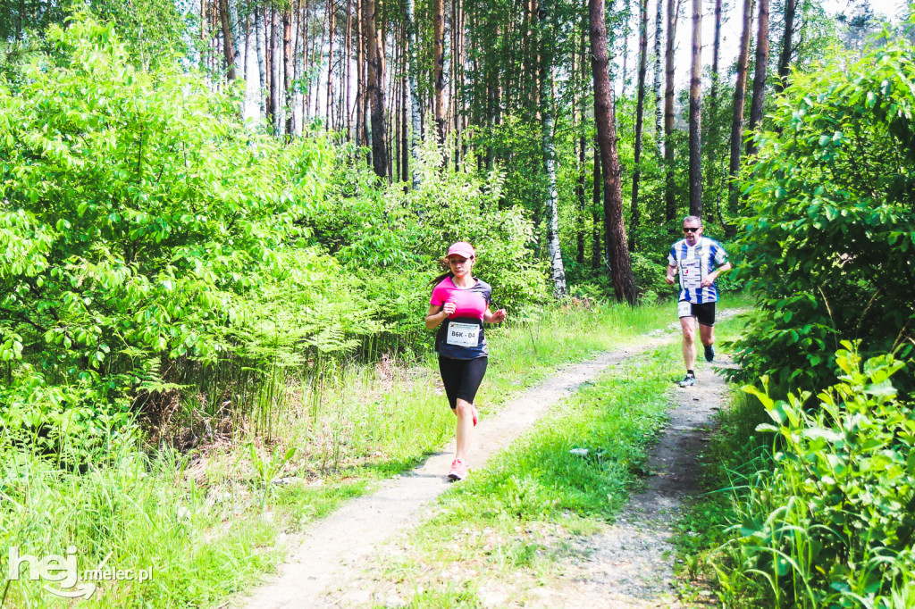 Mielecka Impreza Turystyczna