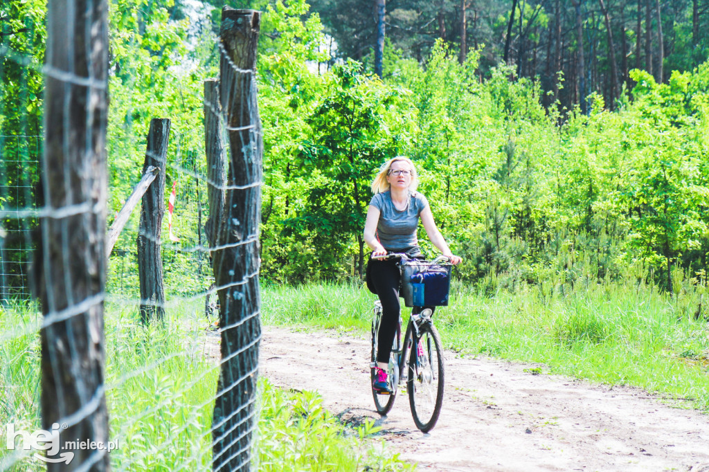 Mielecka Impreza Turystyczna