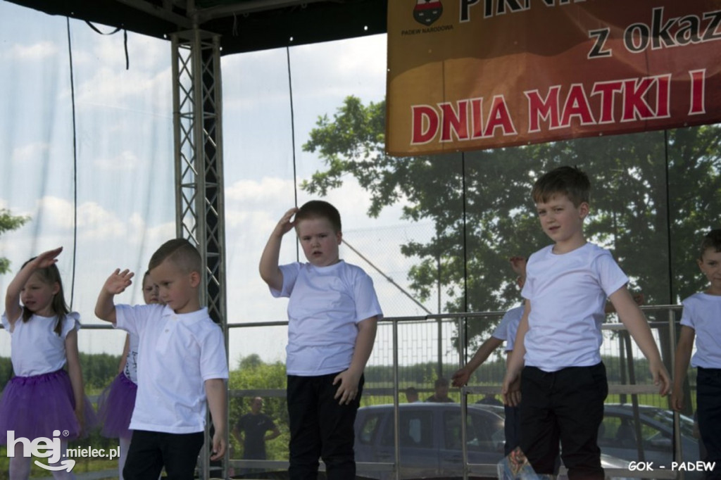 Piknik rodzinny w Padwi Narodowej