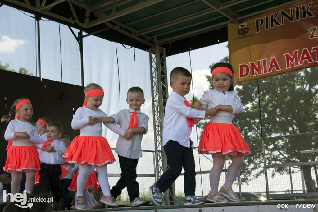 Piknik rodzinny w Padwi Narodowej
