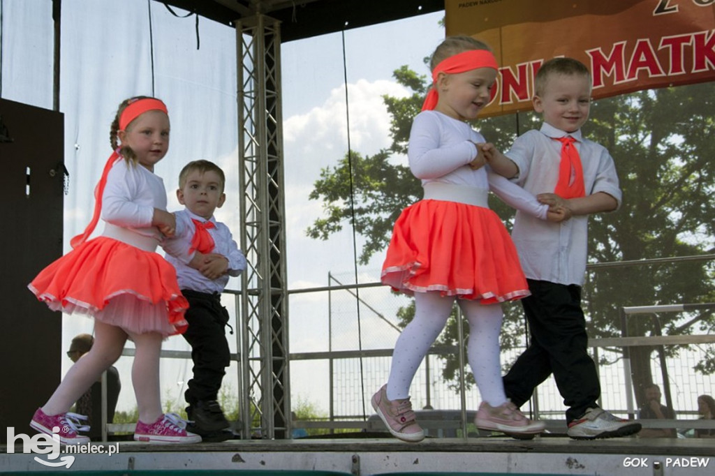 Piknik rodzinny w Padwi Narodowej
