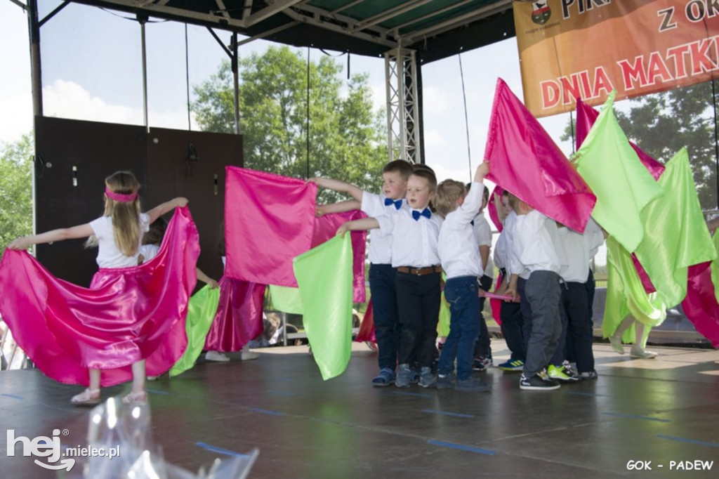 Piknik rodzinny w Padwi Narodowej