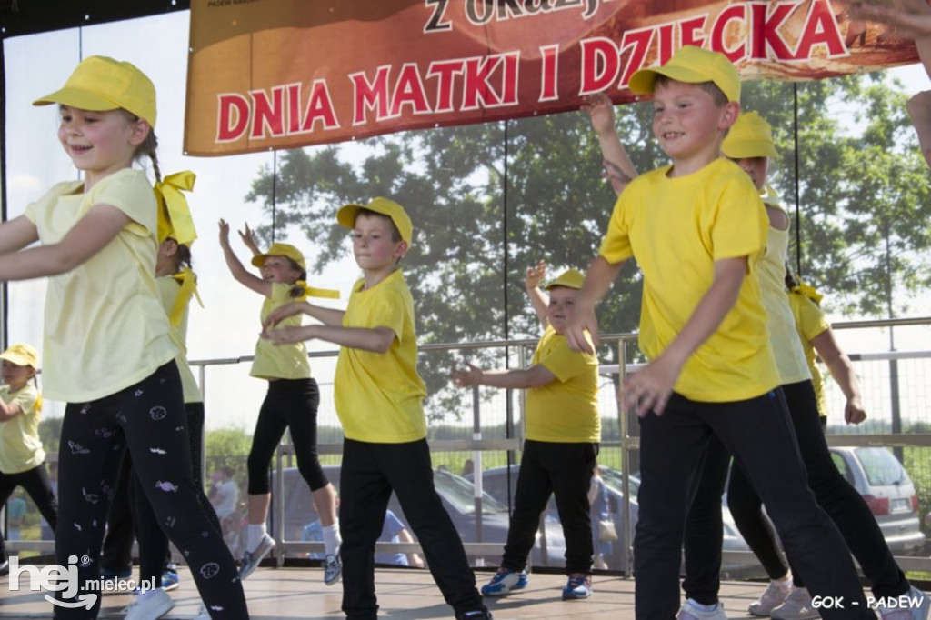 Piknik rodzinny w Padwi Narodowej