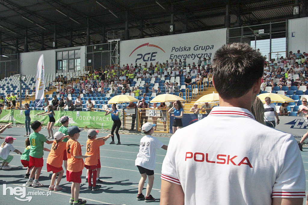 Mielecki Bieg Przedszkolaków
