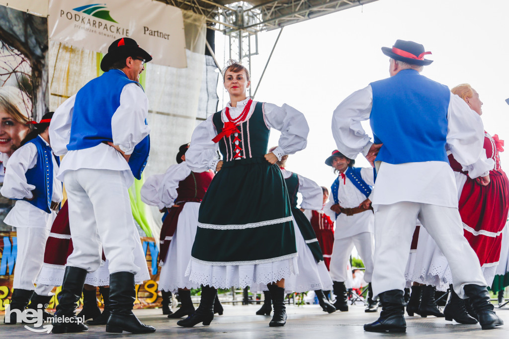 Roztańczony Chorzelów 2019