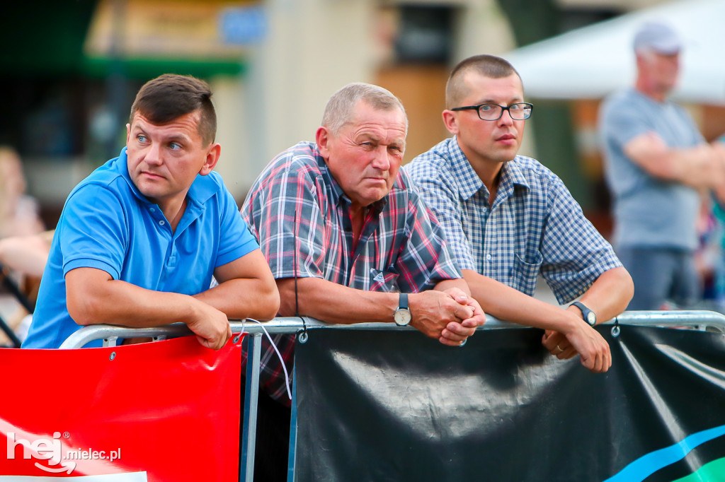 Mistrzostwa Polski w chodzie sportowym na 20 kilometrów