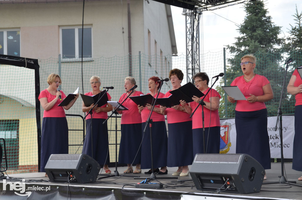 Festyn w Podleszanach