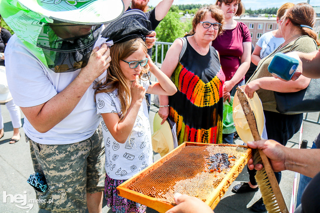 Miejskie Miodobranie 2019