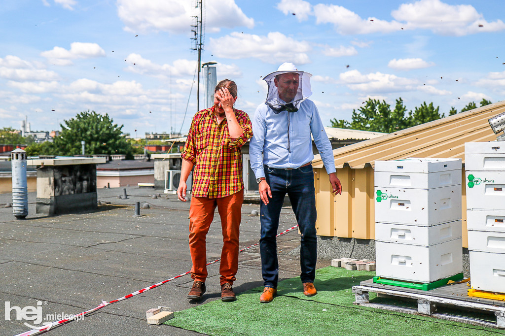 Miejskie Miodobranie 2019