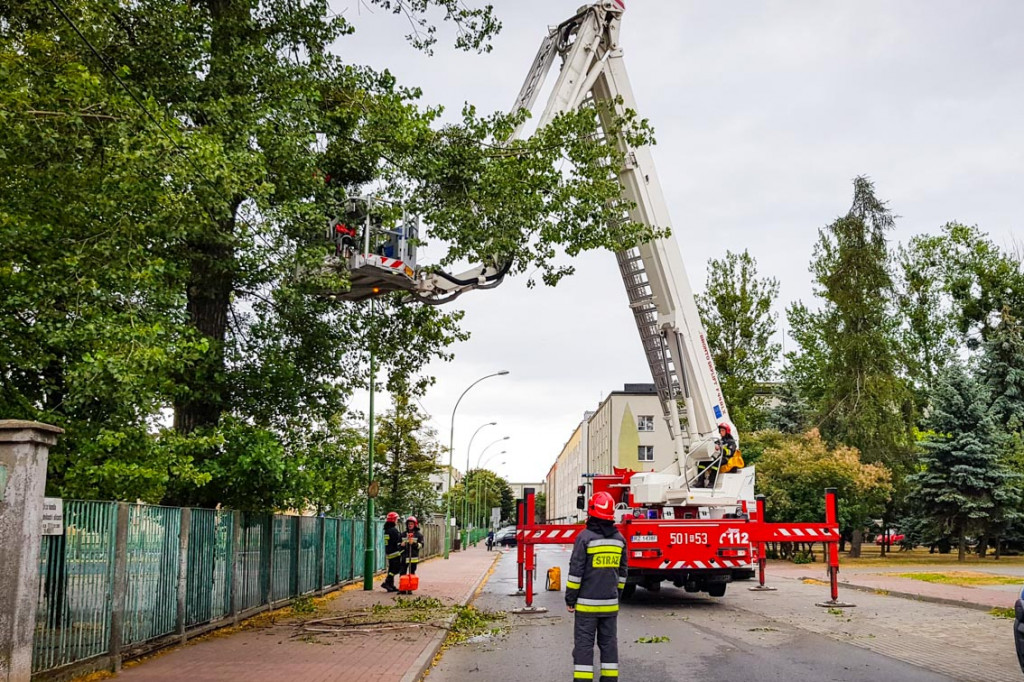 Gałęzie w centrum spadały na drogę