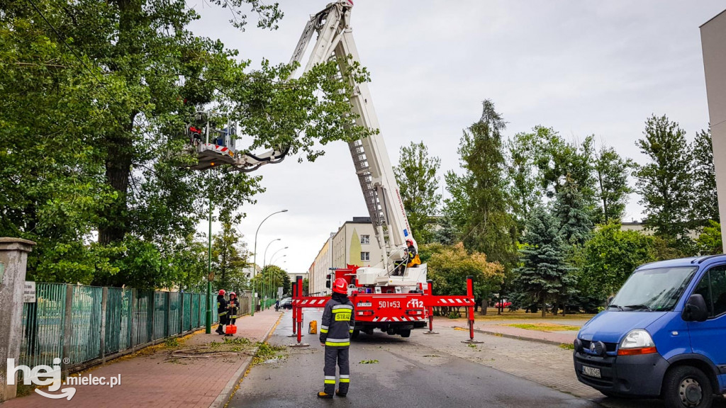 Gałęzie w centrum spadały na drogę