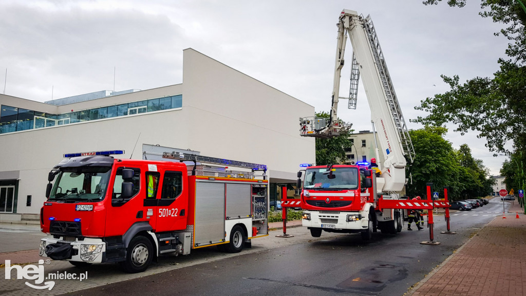 Gałęzie w centrum spadały na drogę