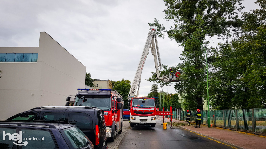 Gałęzie w centrum spadały na drogę