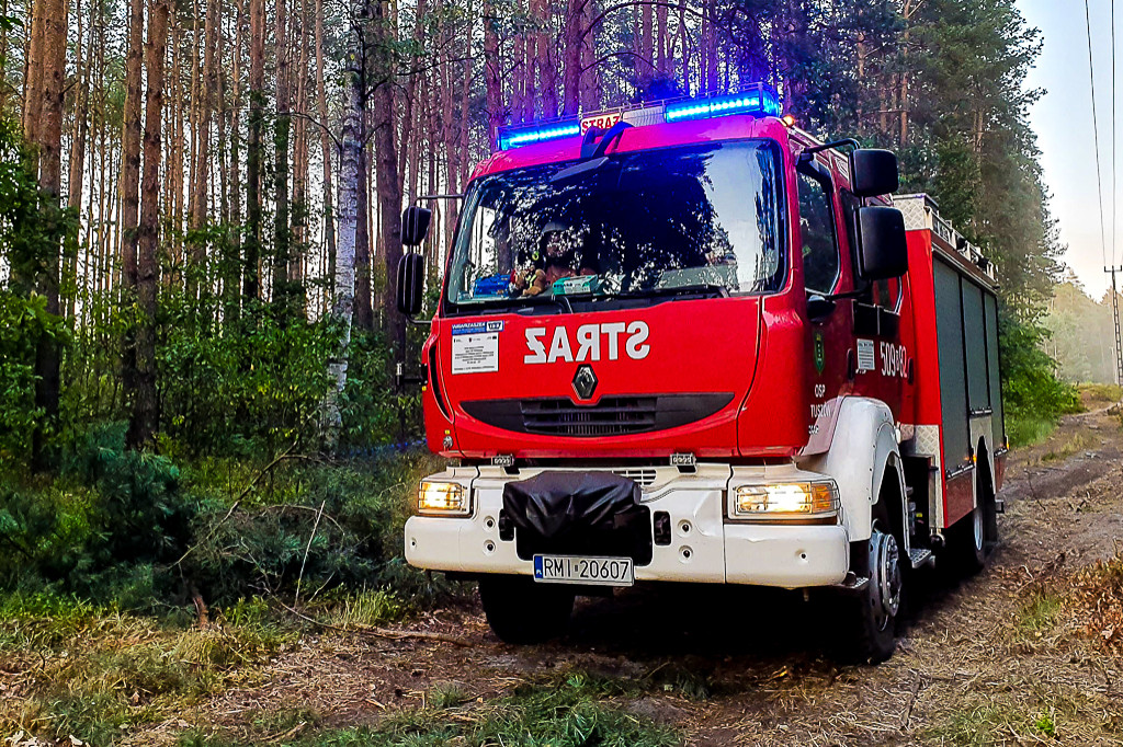 Pożar lasu pod Mielcem