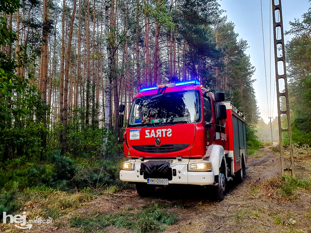 Pożar lasu pod Mielcem