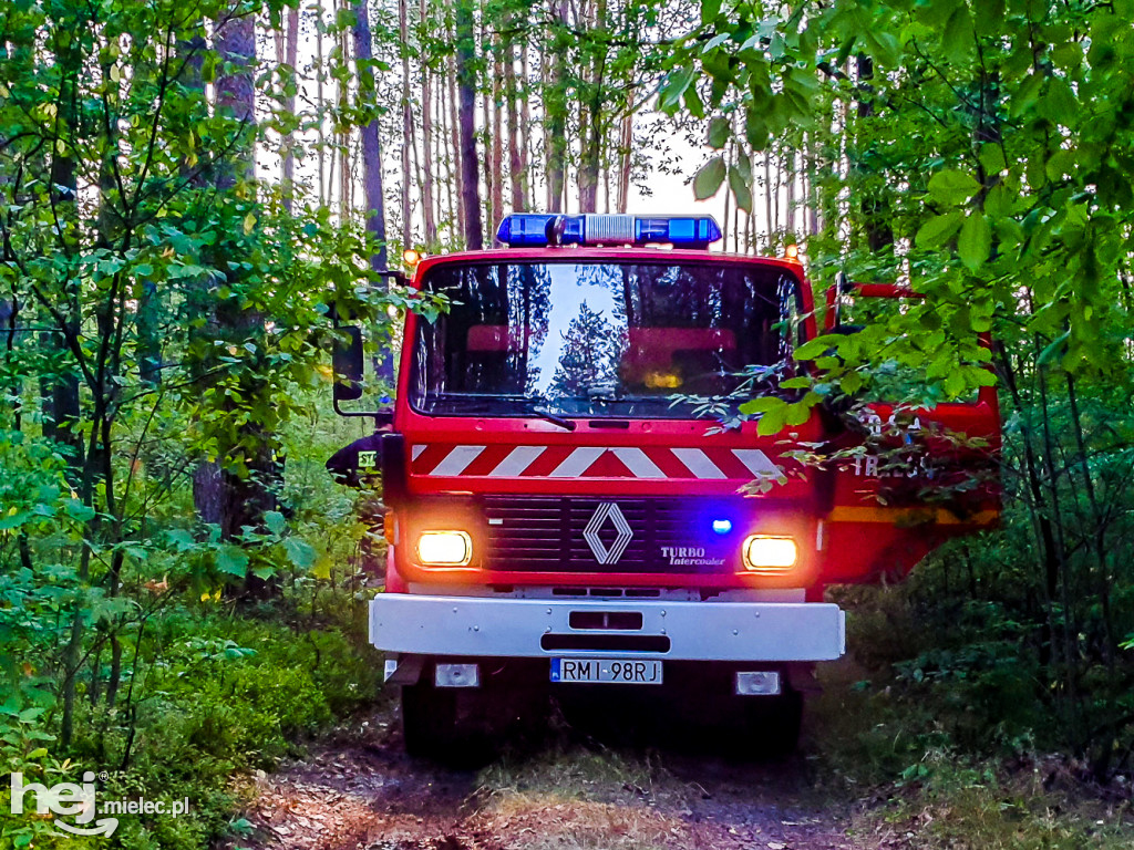 Pożar lasu pod Mielcem