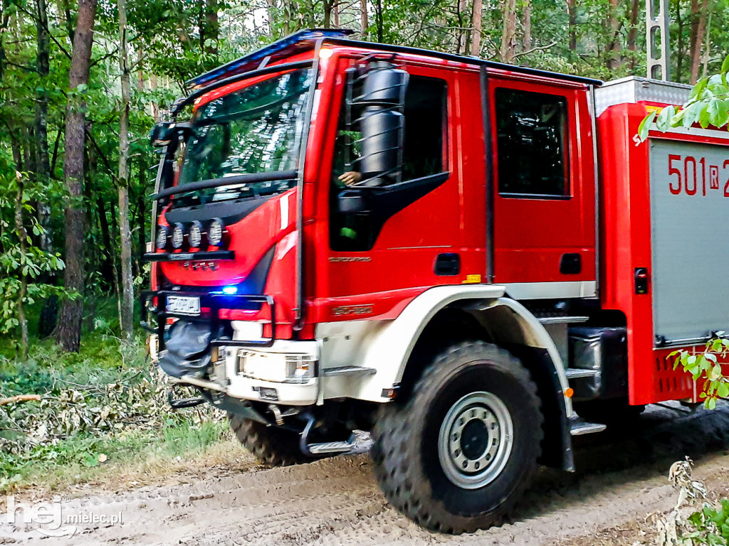 Pożar lasu pod Mielcem