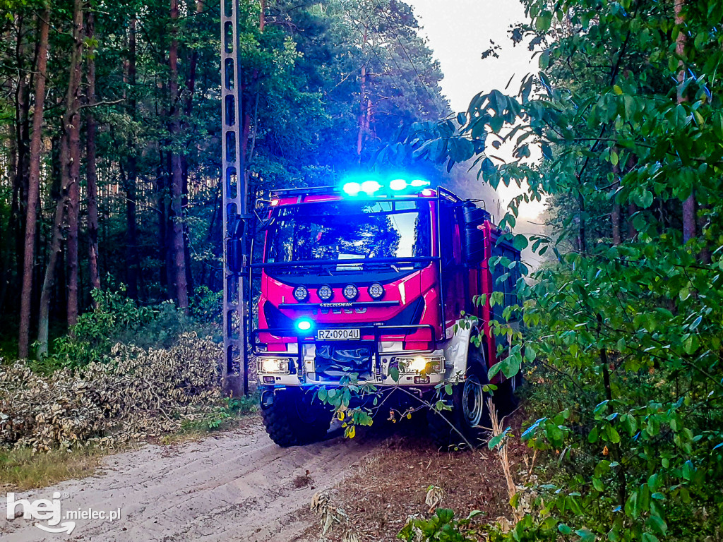 Pożar lasu pod Mielcem