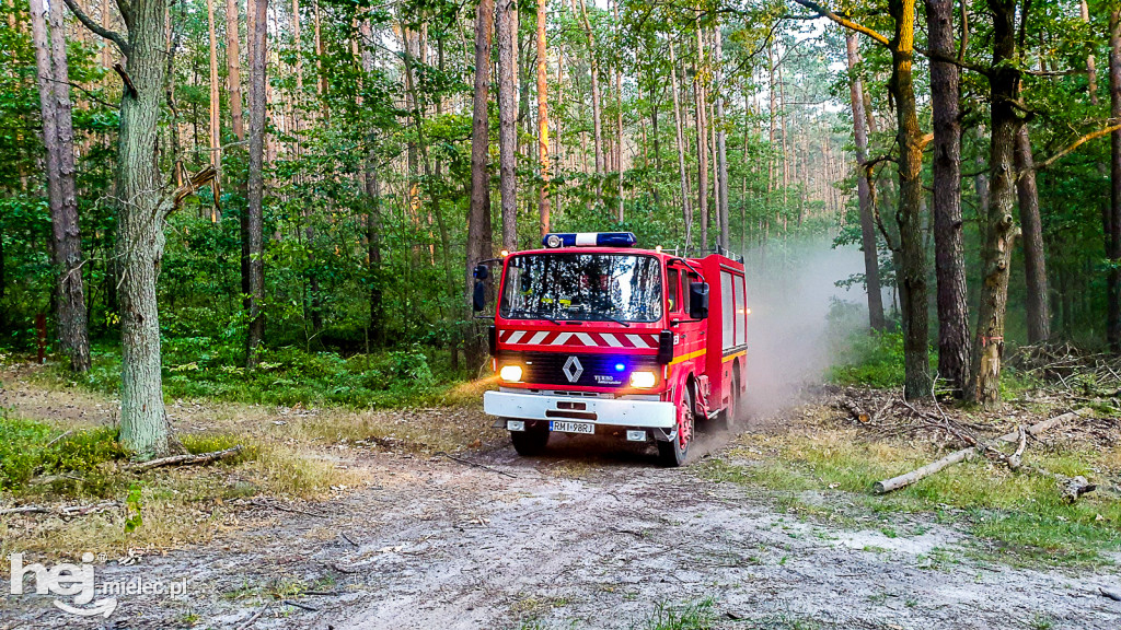 Pożar lasu pod Mielcem