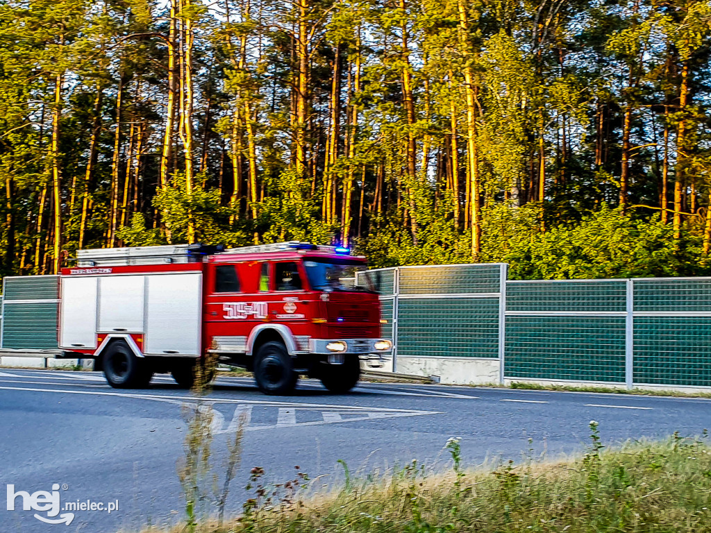 Pożar lasu pod Mielcem