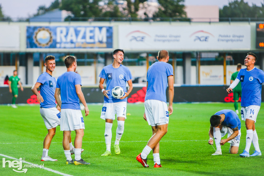 PGE FKS Stal - Warta Poznań