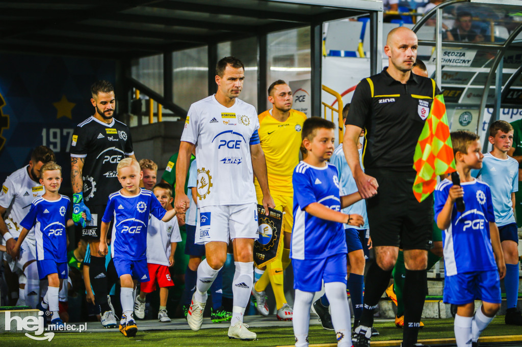 PGE FKS Stal - Warta Poznań