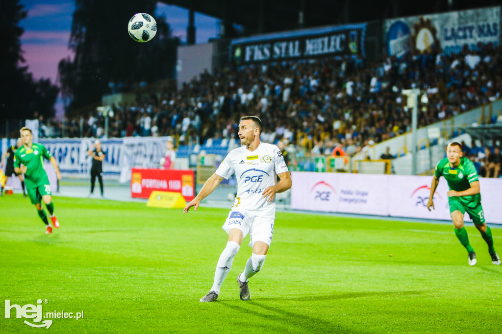 PGE FKS Stal - Warta Poznań